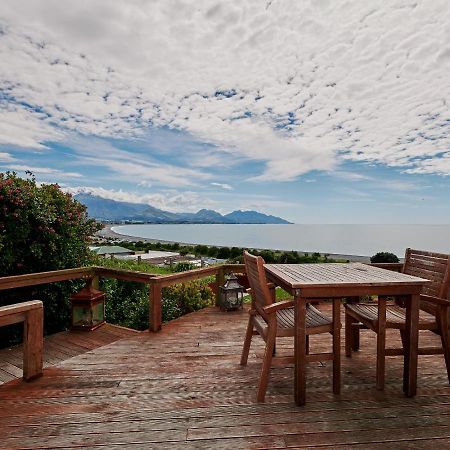Lemon Tree Lodge Kaikoura Exterior foto
