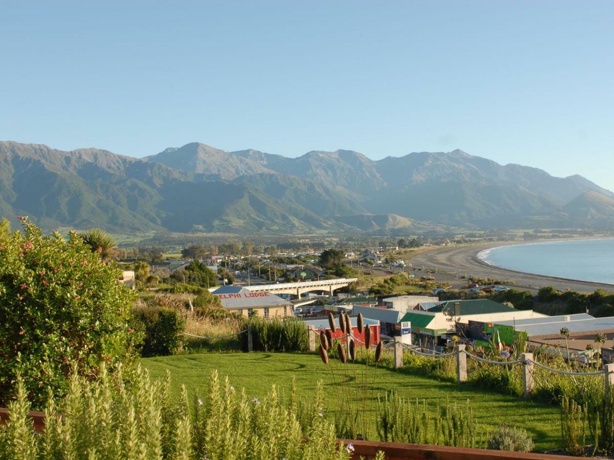 Lemon Tree Lodge Kaikoura Exterior foto